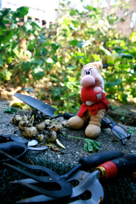 Gardening